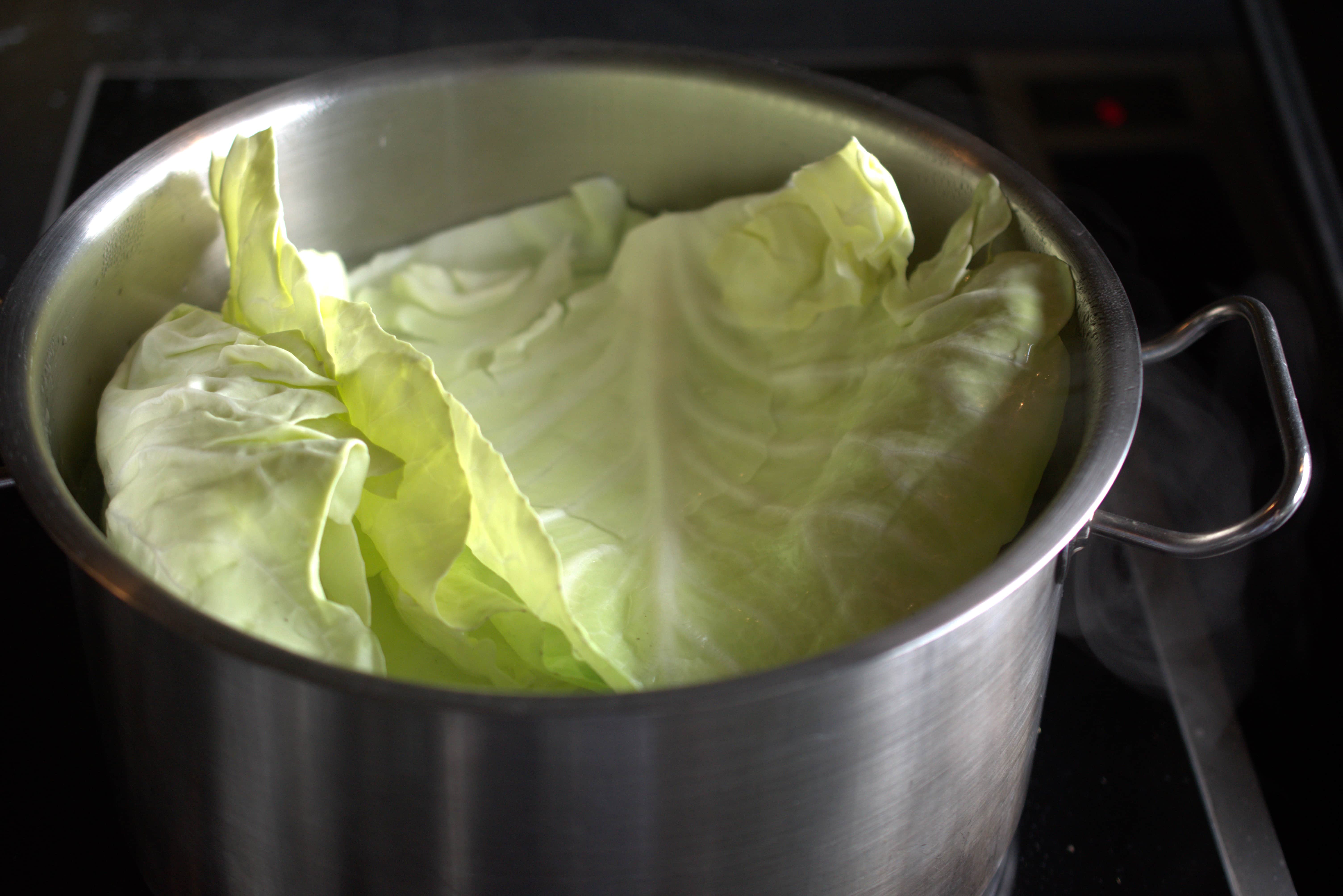 Gefüllter Spitzkohl | Asiatisches Hackfleisch | Vadouvan | Reis