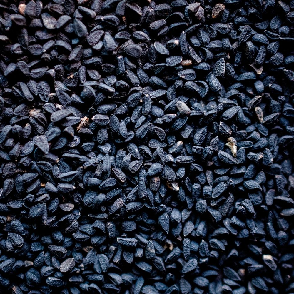 Schwarzkümmel Detailaufnahme Schwarzkmmel