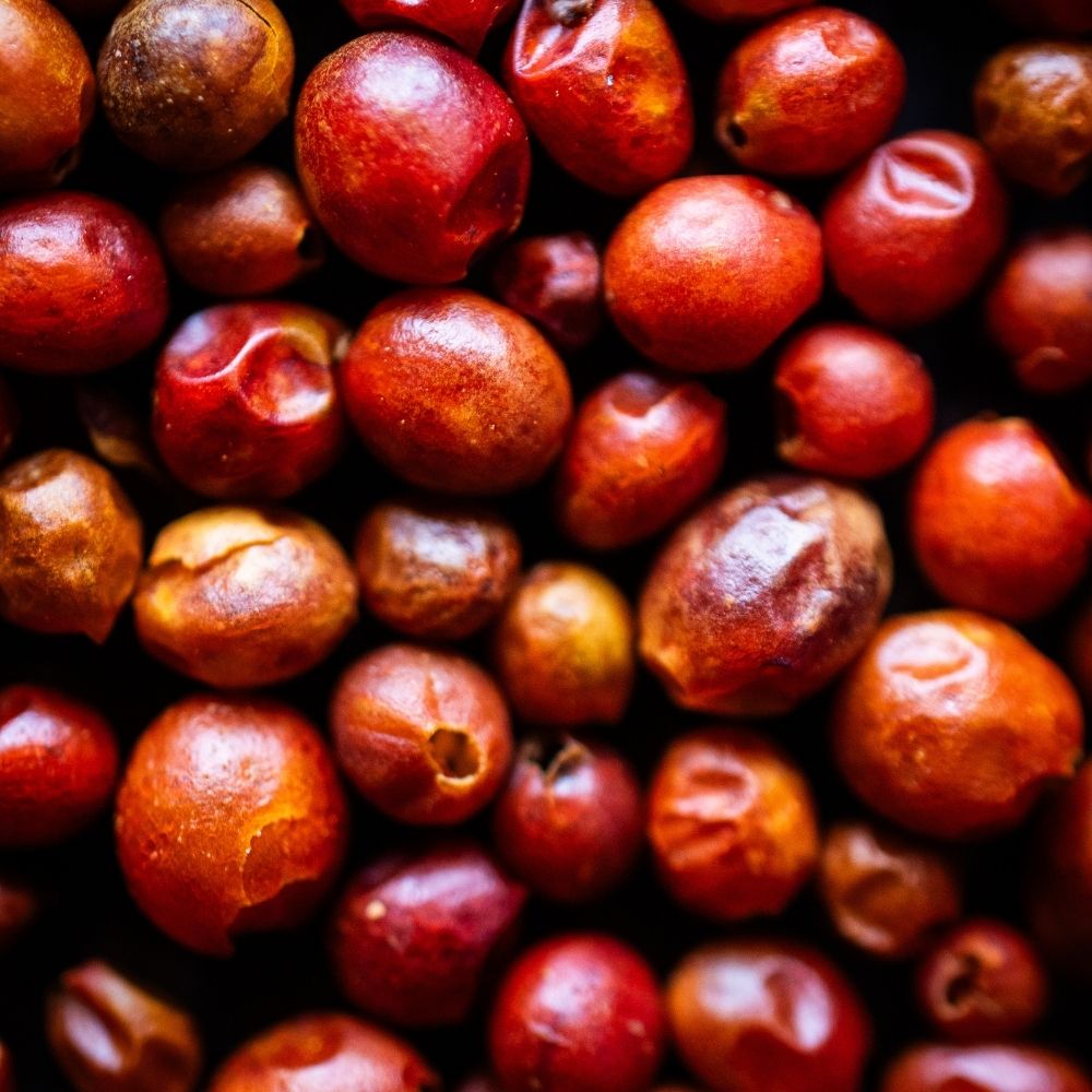Detailaufnahme Chiltepin (Tepin) Urchili, ganz