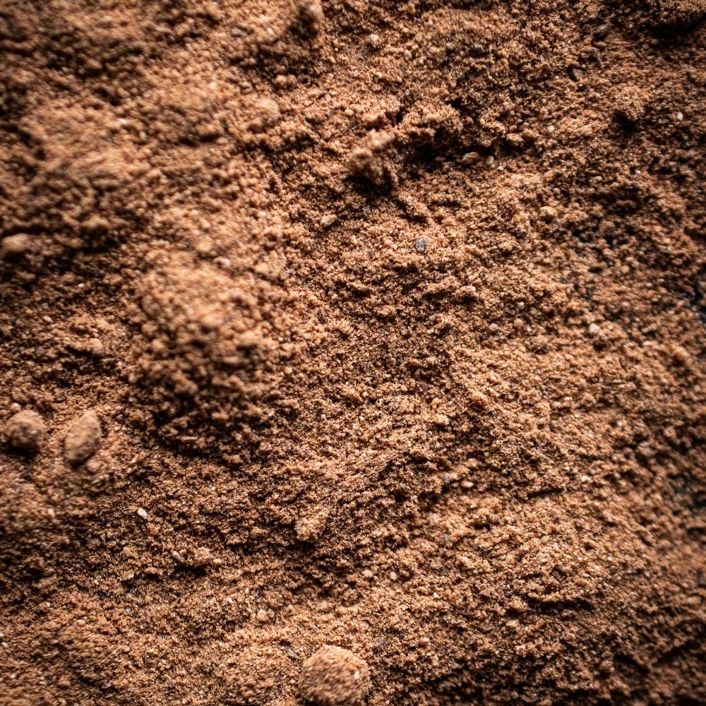 Muskatnuss, gemahlen Detailaufnahme Muskatnuss, gemahlen