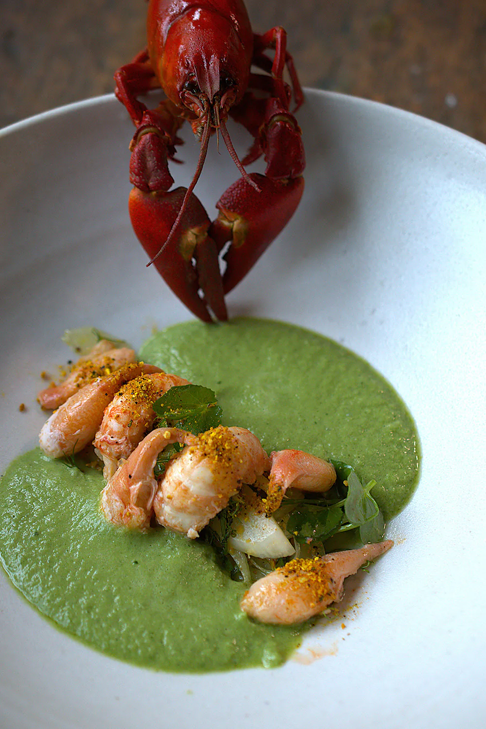 Erbsenkaltschale | Orangenpfeffer | Fenchel | Flusskrebse