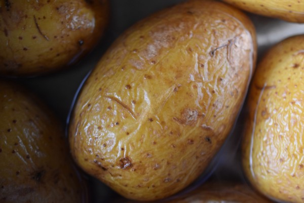 Kartoffeln, halb im Wasser liegend