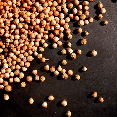 inKoriandersamen Koriandersamen