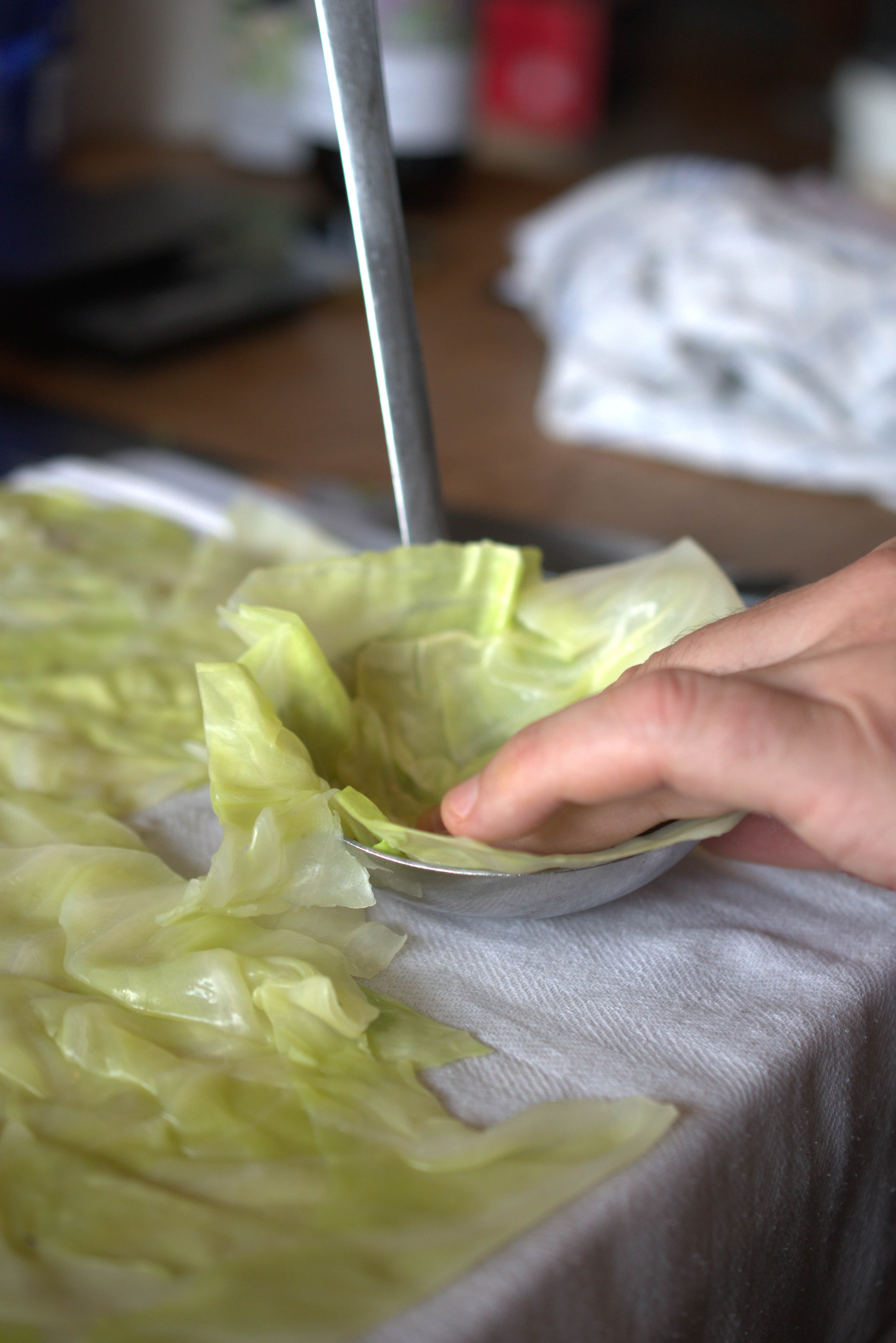 Gefüllter Spitzkohl | Asiatisches Hackfleisch | Vadouvan | Reis