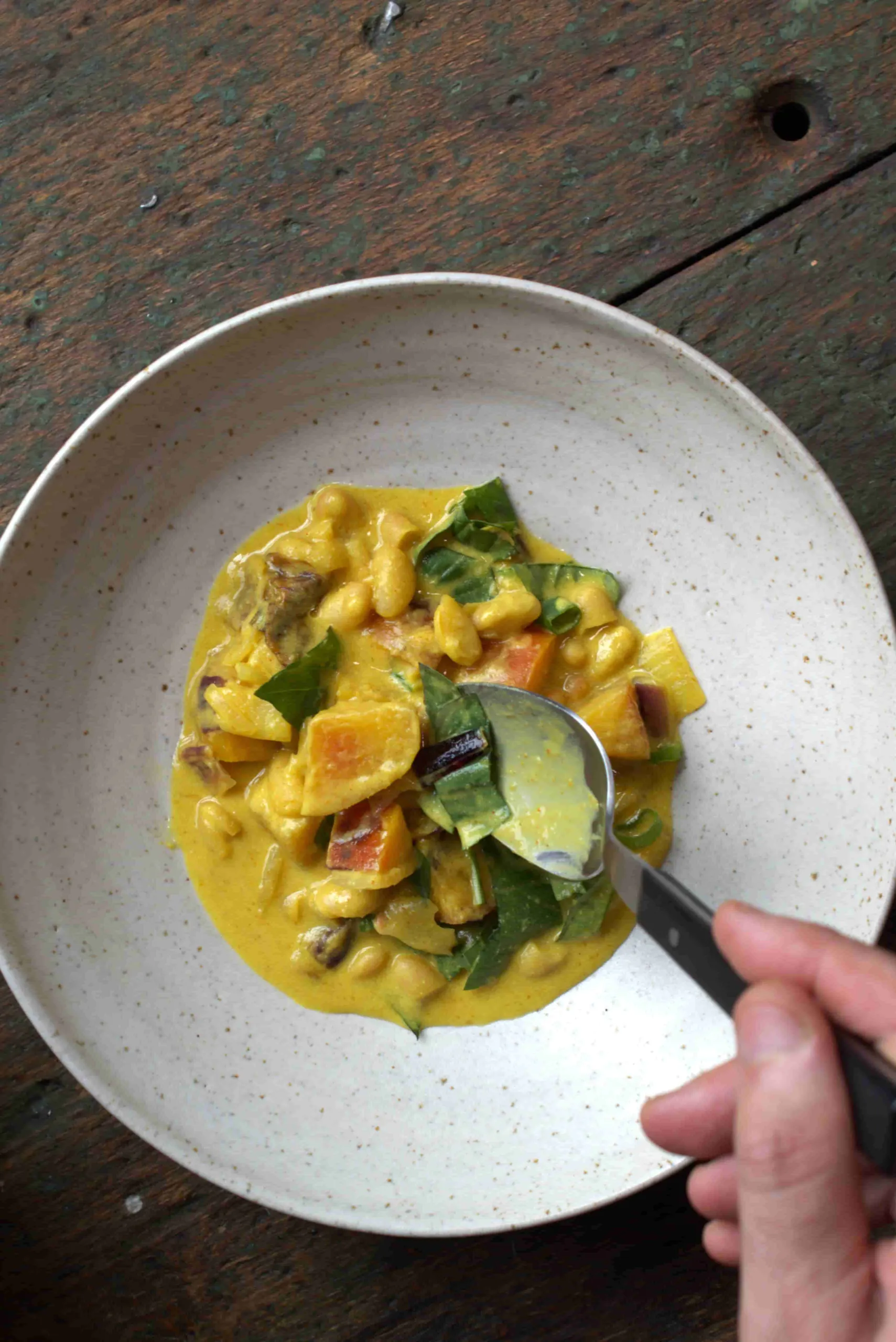 Thai Curry | Weiße Bohnen | Äpfel | Rote Zwiebel