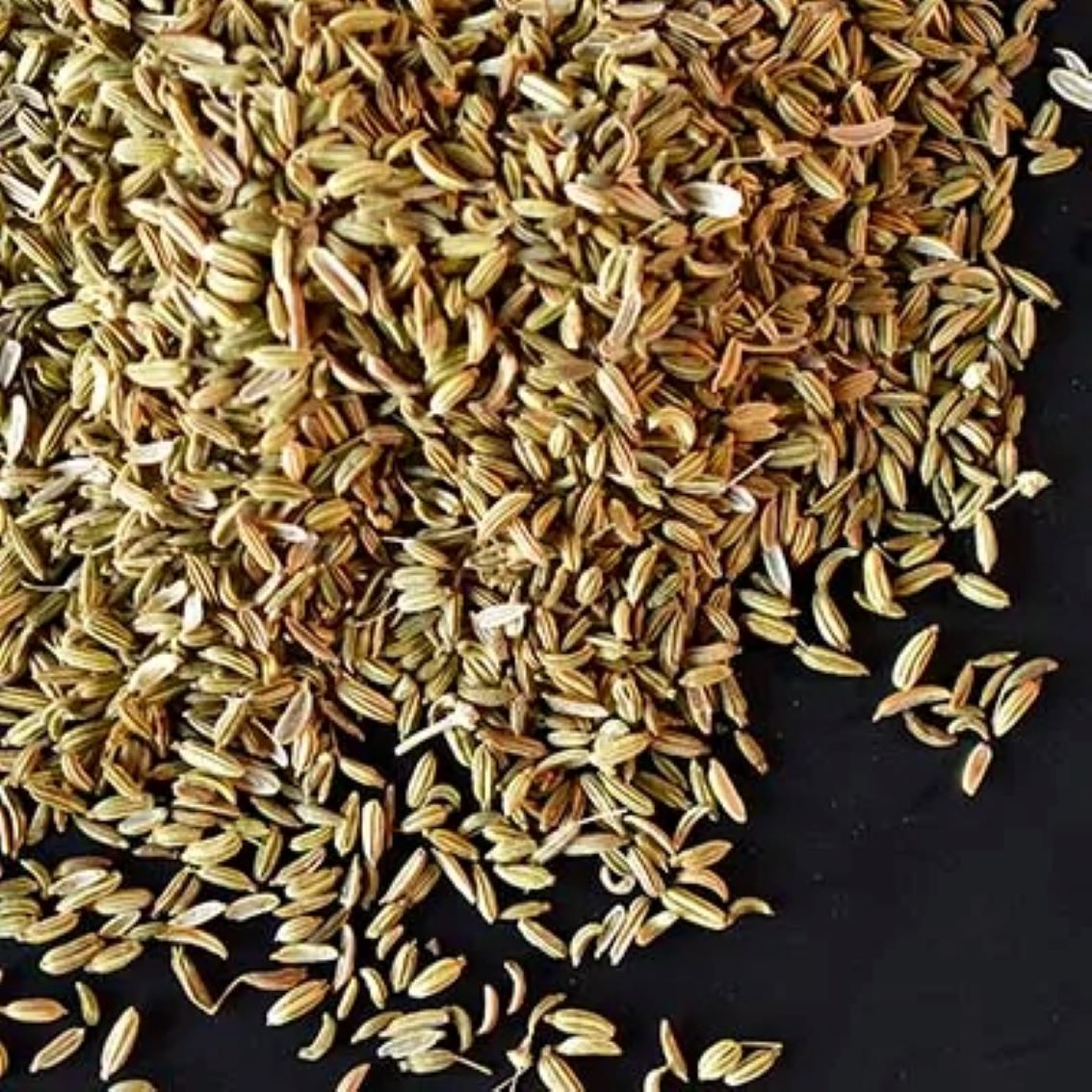 Nahaufnahme Fenchel auf schwarzem Untergrund