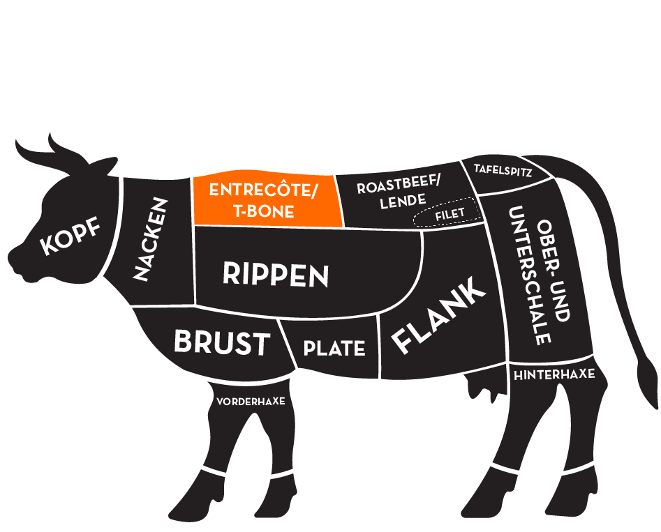 zeichenflaeche-3_3 Illustration eines Rindes mit Einteilung der Fleischbereiche