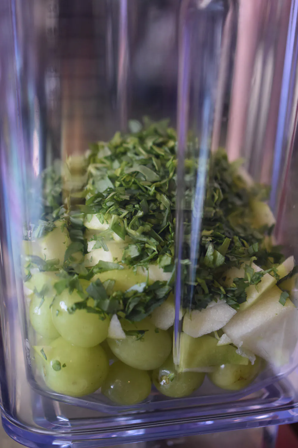 Seesaibling | Kopfsalat | Wasabi Dressing | Snofnugg Salzflocken