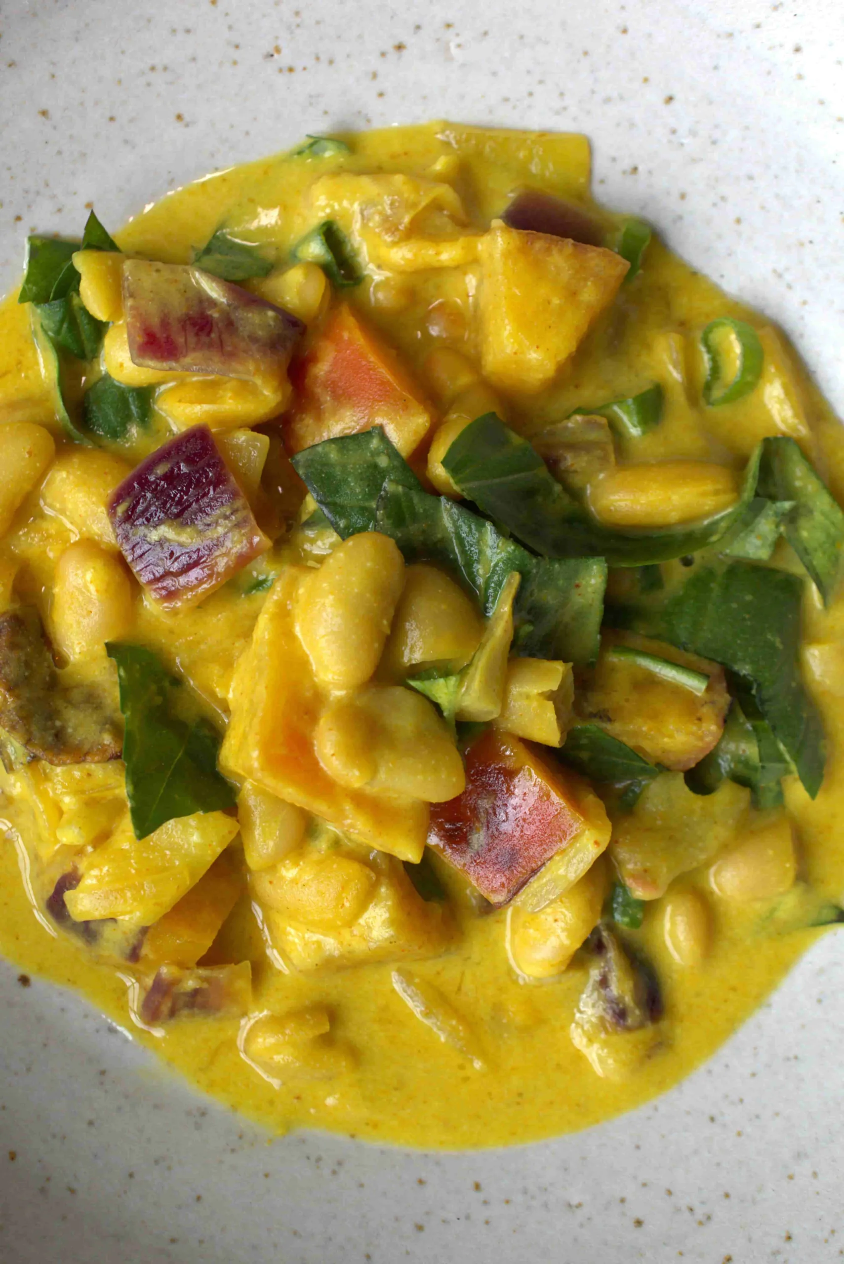 Thai Curry | Weiße Bohnen | Äpfel | Rote Zwiebel
