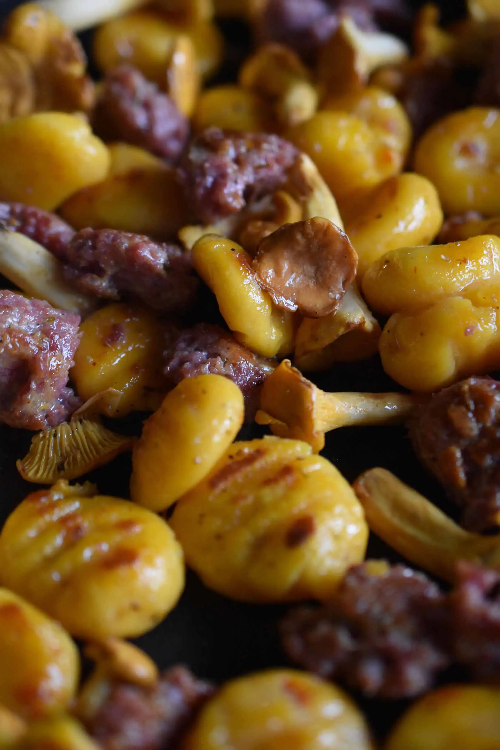Kürbis-Gnocchi | Salsiccia | Pfifferling | Fresh Fish Seasoning