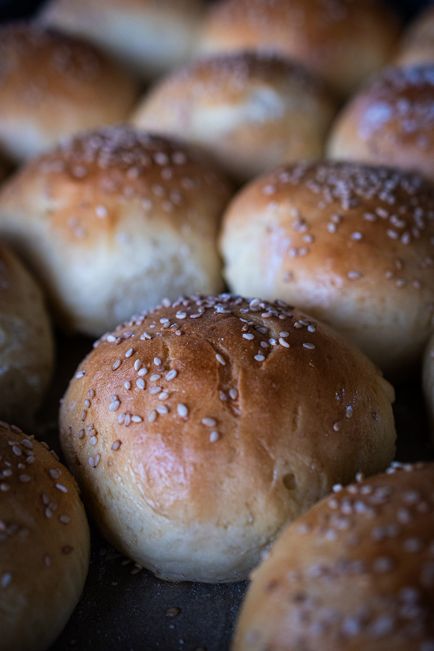 Brioche Burger Buns