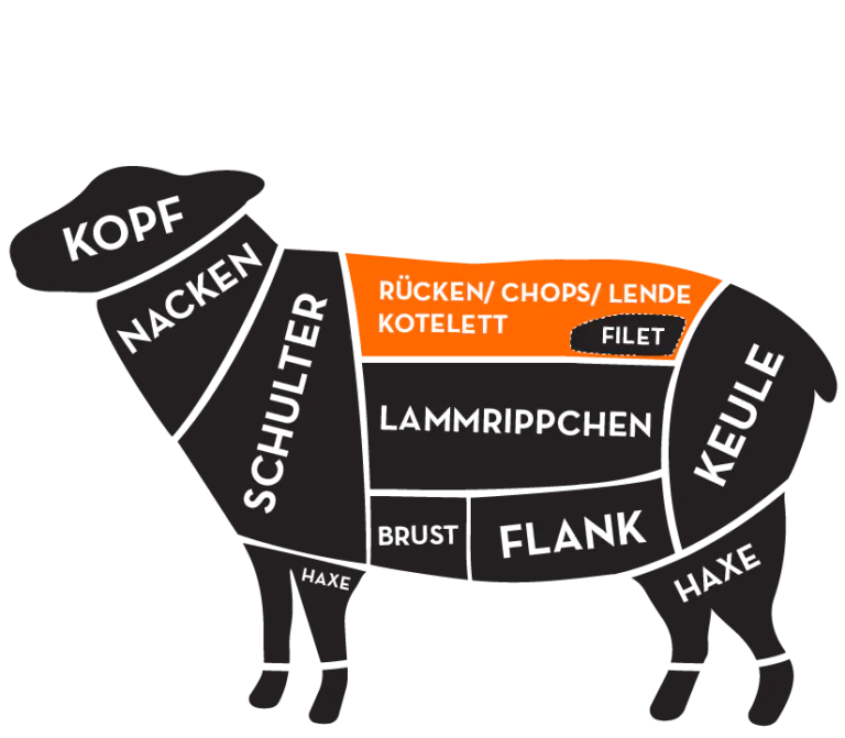 zeichenflaeche-6_3-768x671 Illustration eines Lammes mit Einteilung der Fleischbereiche