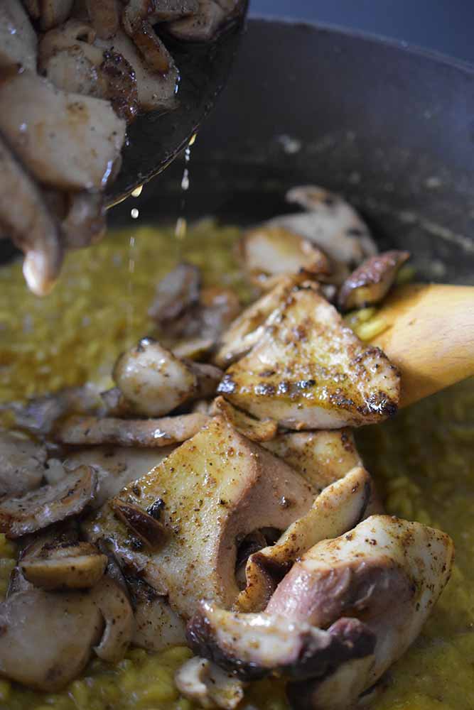 Steinpilzrisotto | Pilzgewürz