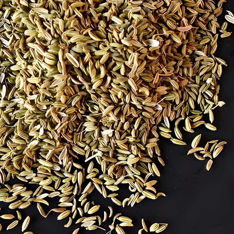 Nahaufnahme Fenchel auf schwarzem Untergrund