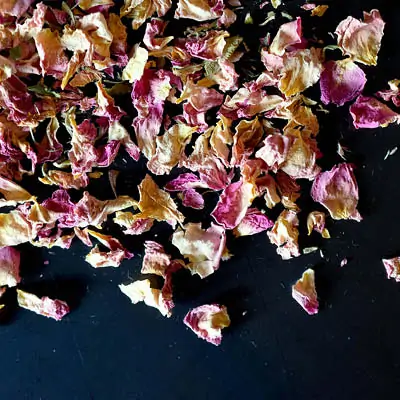 Rosen Blüten