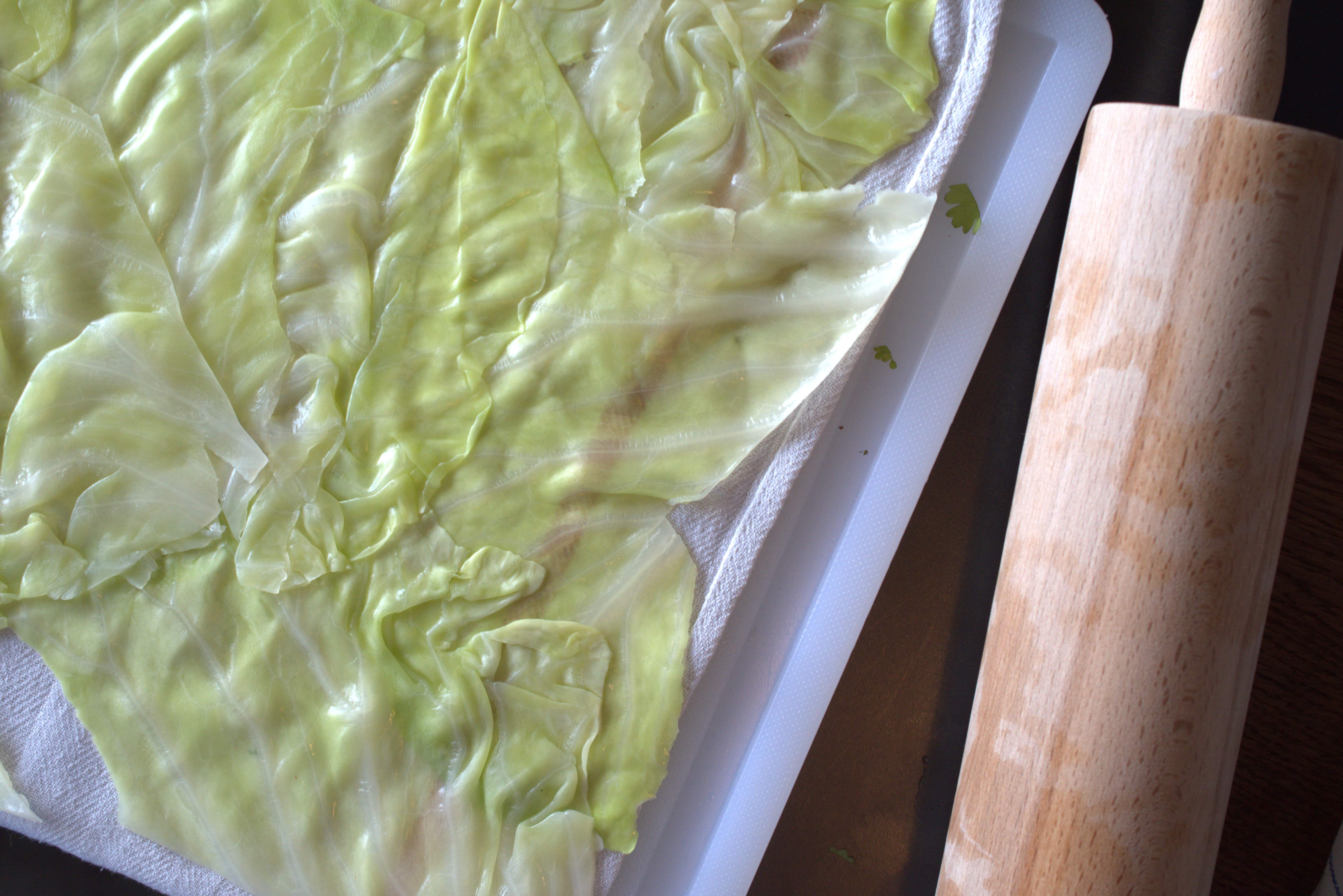 Gefüllter Spitzkohl | Asiatisches Hackfleisch | Vadouvan | Reis