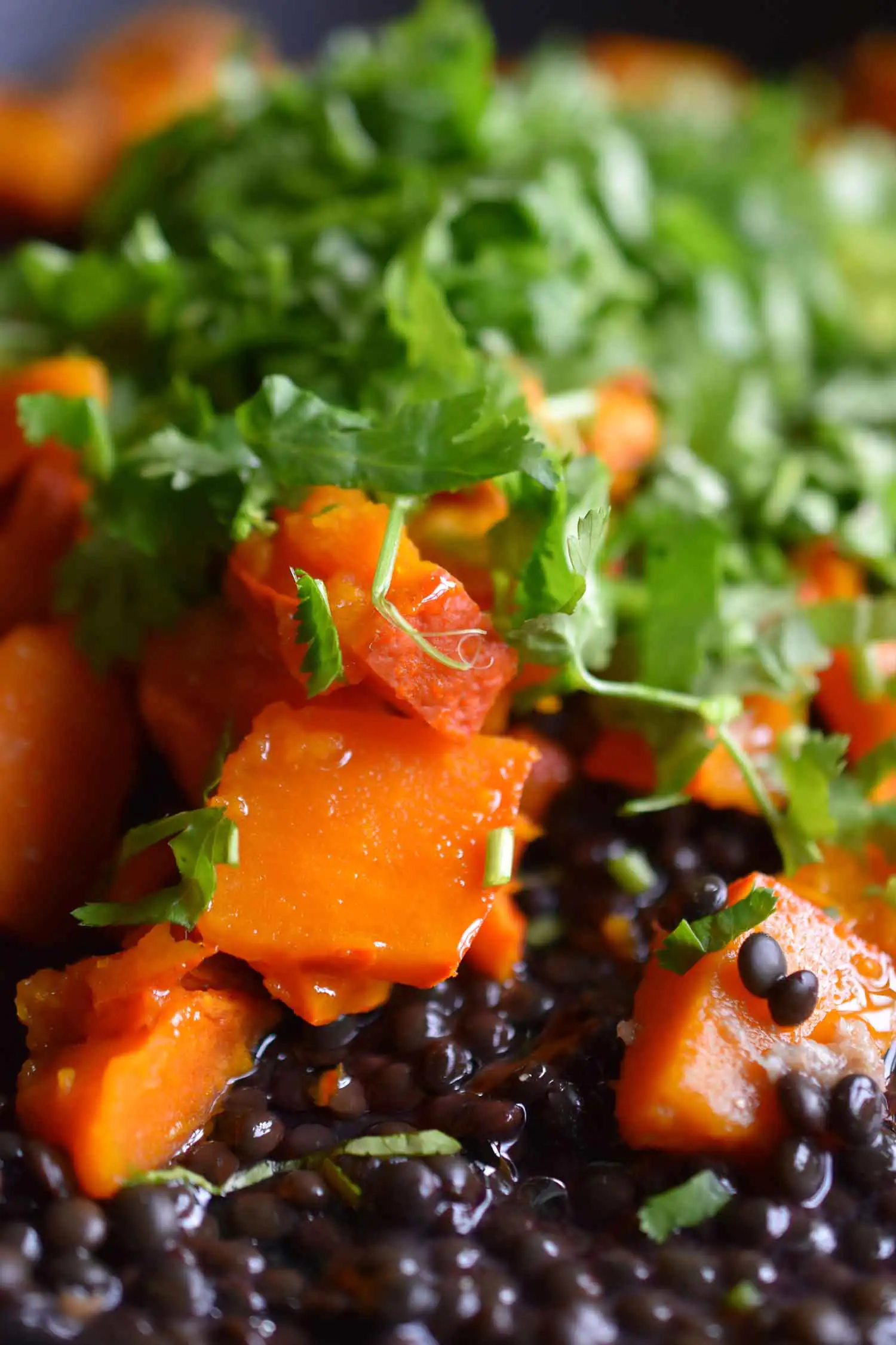 Kürbis-Linsen-Salat | Feigen | Chicorée | Ras el Hanout | Rosenharissa