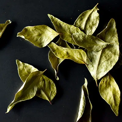 inCurry curry blätter