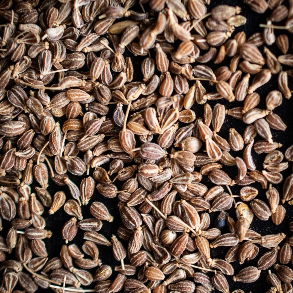 Anis, ganz Detailaufnahme Anis ganz