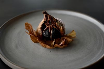 schwarzer knoblauch knolle