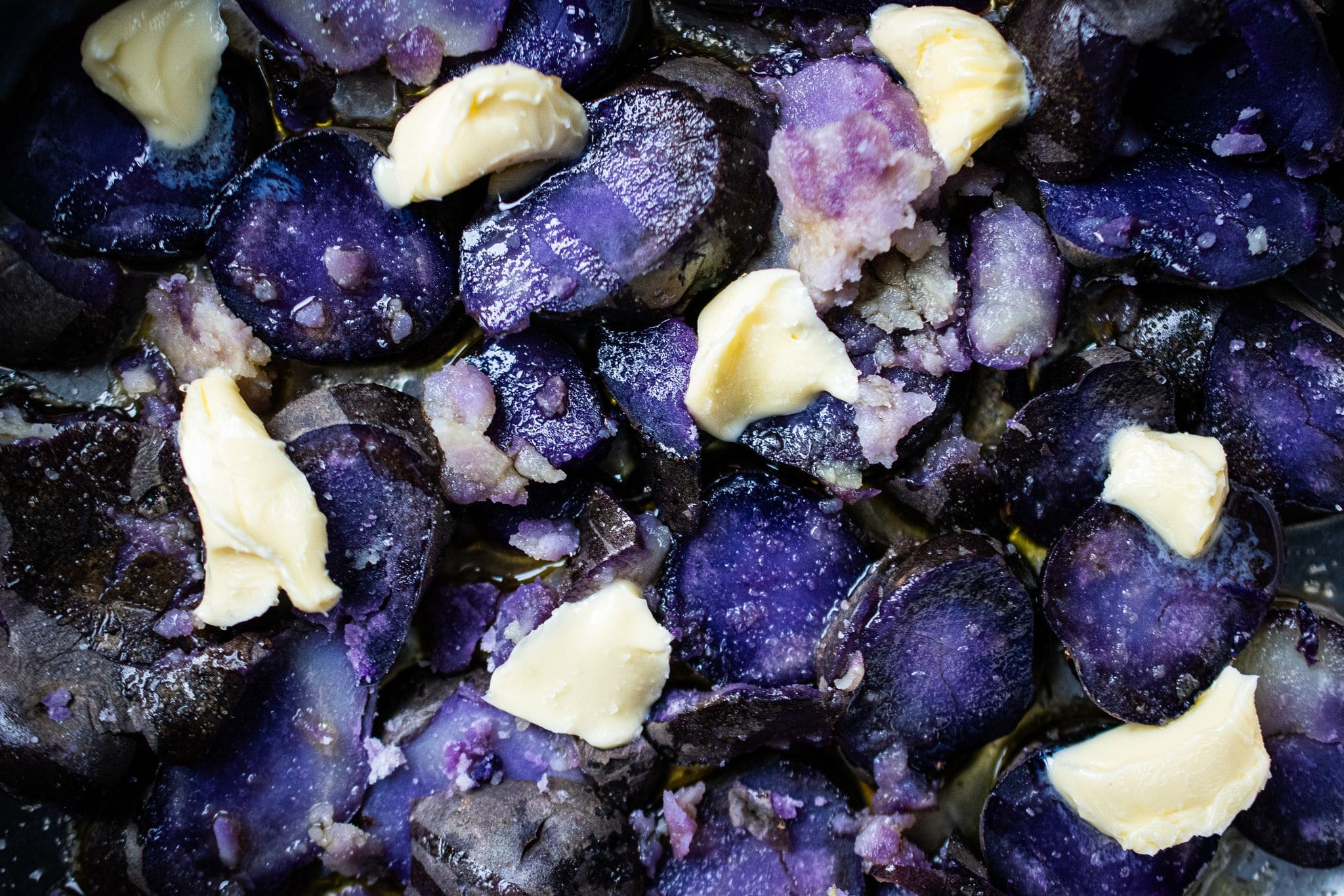 Violette Kartoffelscheiben mit geschmolzenem Taleggio und grobem Salz in Nahaufnahme von Gewürzmühle Rosenheim