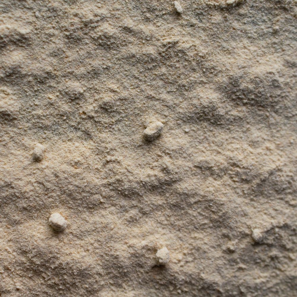 Detailaufnahme Orangenschale, fein gemahlen