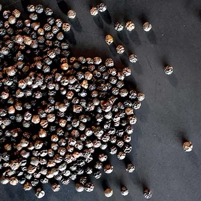 inPfeffer-kom Pfeffer körner