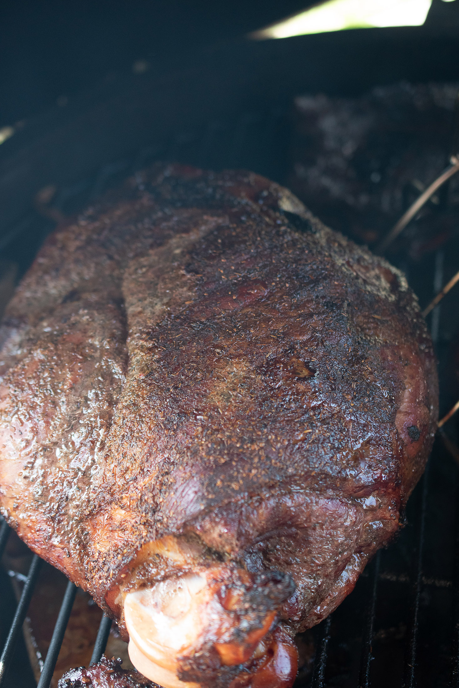 Pulled Wildschwein | Classic Roast Rub | Barbecue Sauce