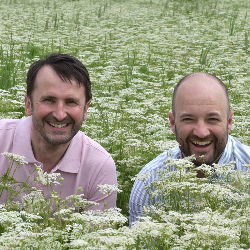 Kümmel (Bayern), ganz Kümmel (Bayern), ganz