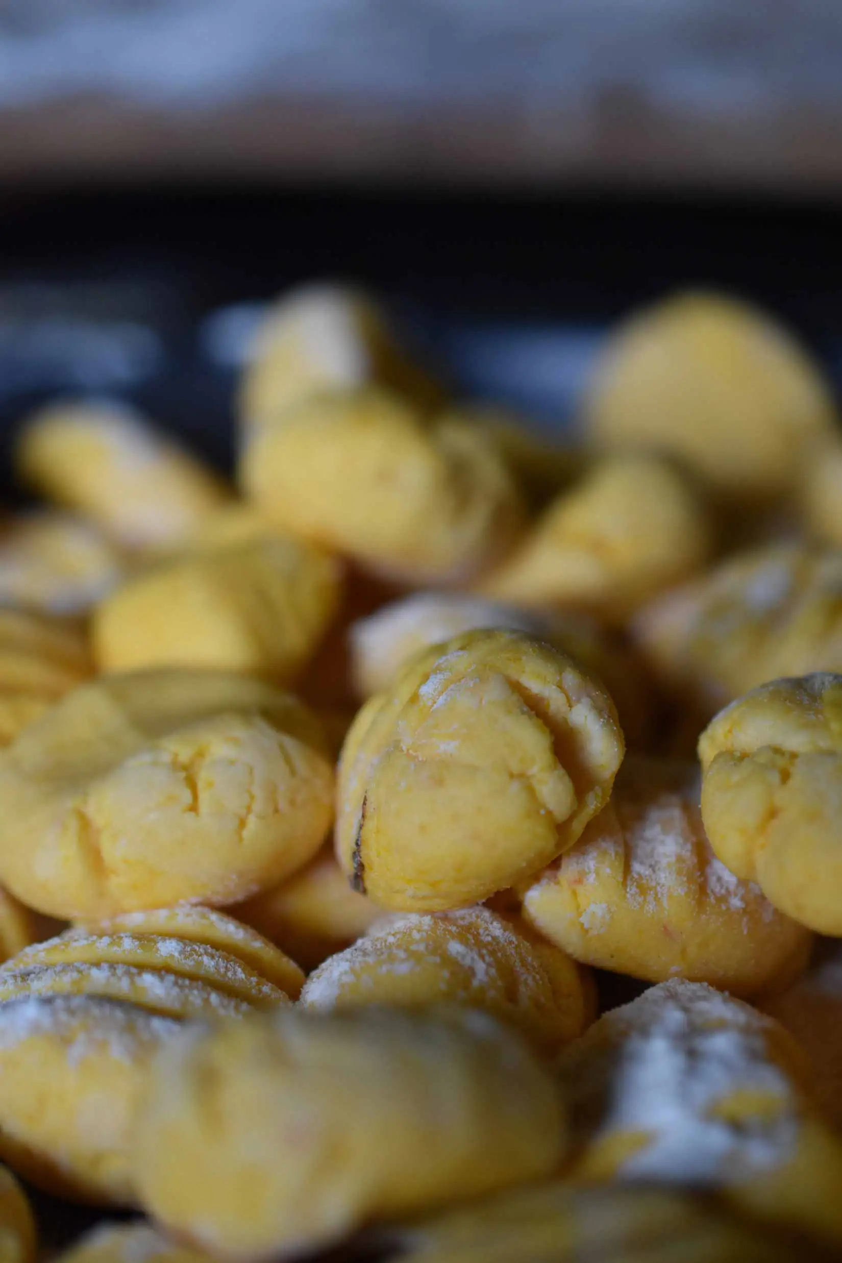 Kürbis-Gnocchi | Salsiccia | Pfifferling | Fresh Fish Seasoning