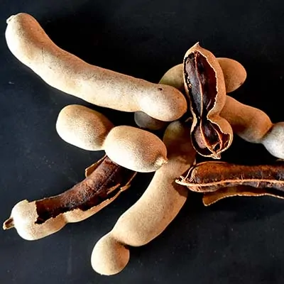 inTamarinde-kom Tamarinde