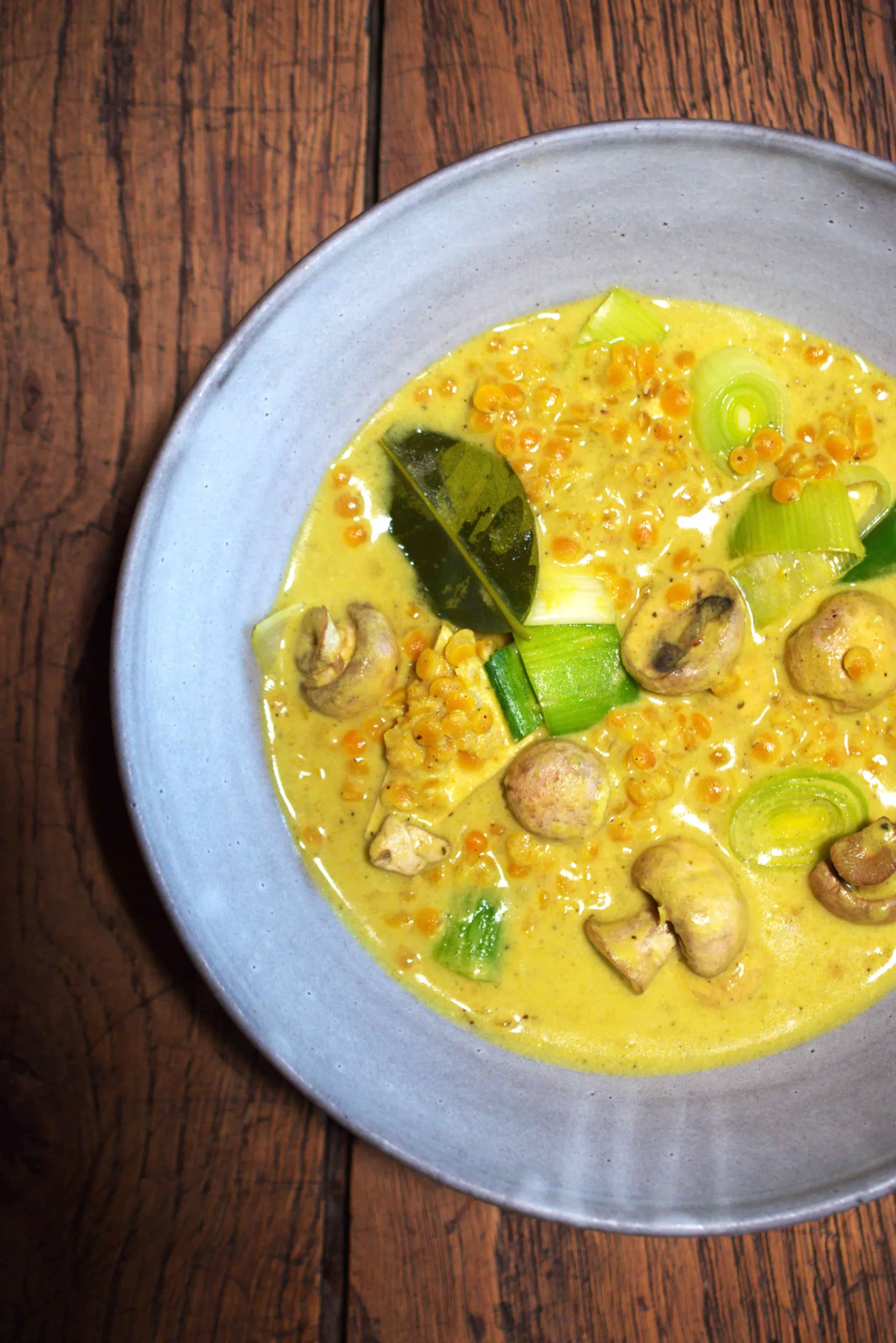 Zitrus Curry | Rote Linsen | Champignons | Lauch