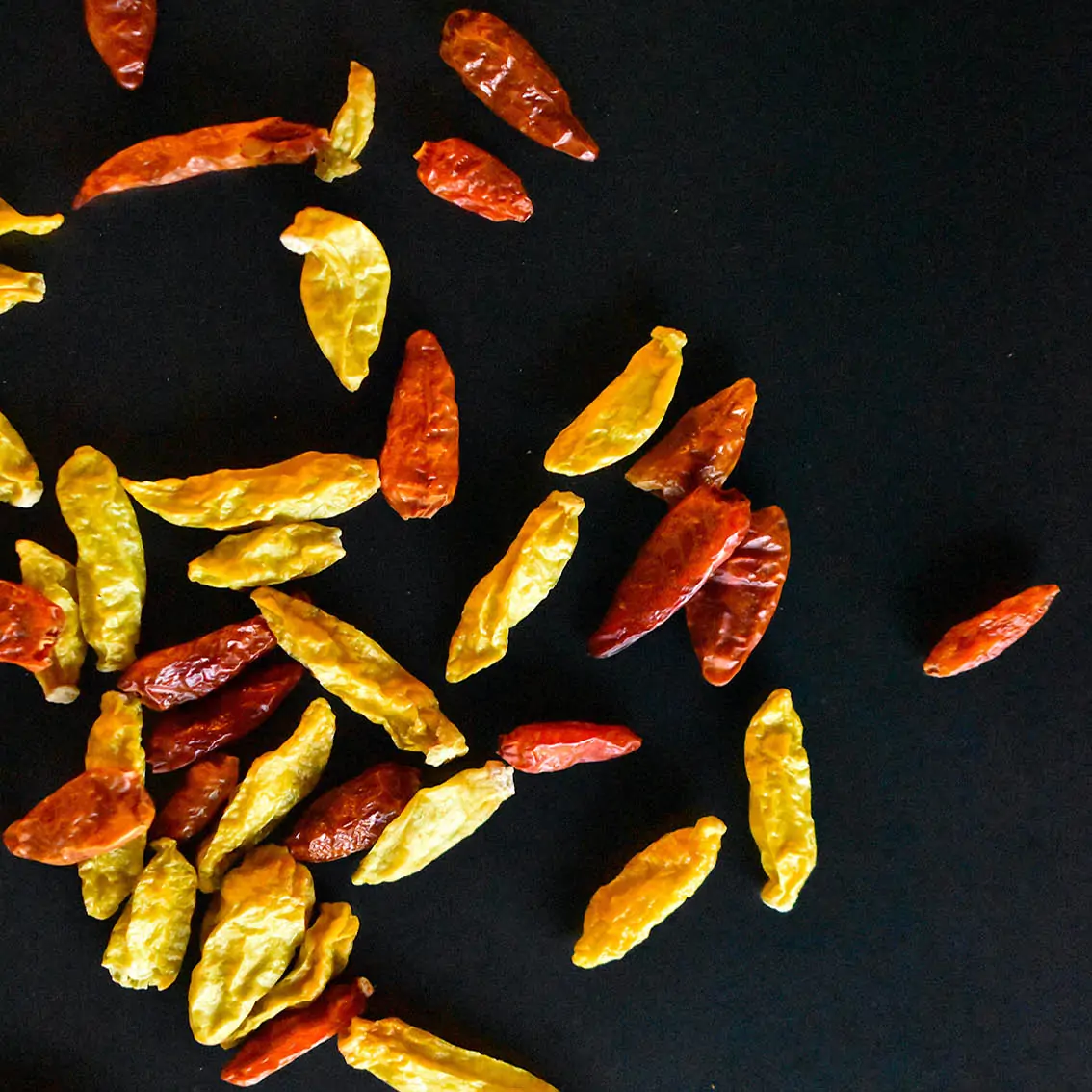 chili Chilis