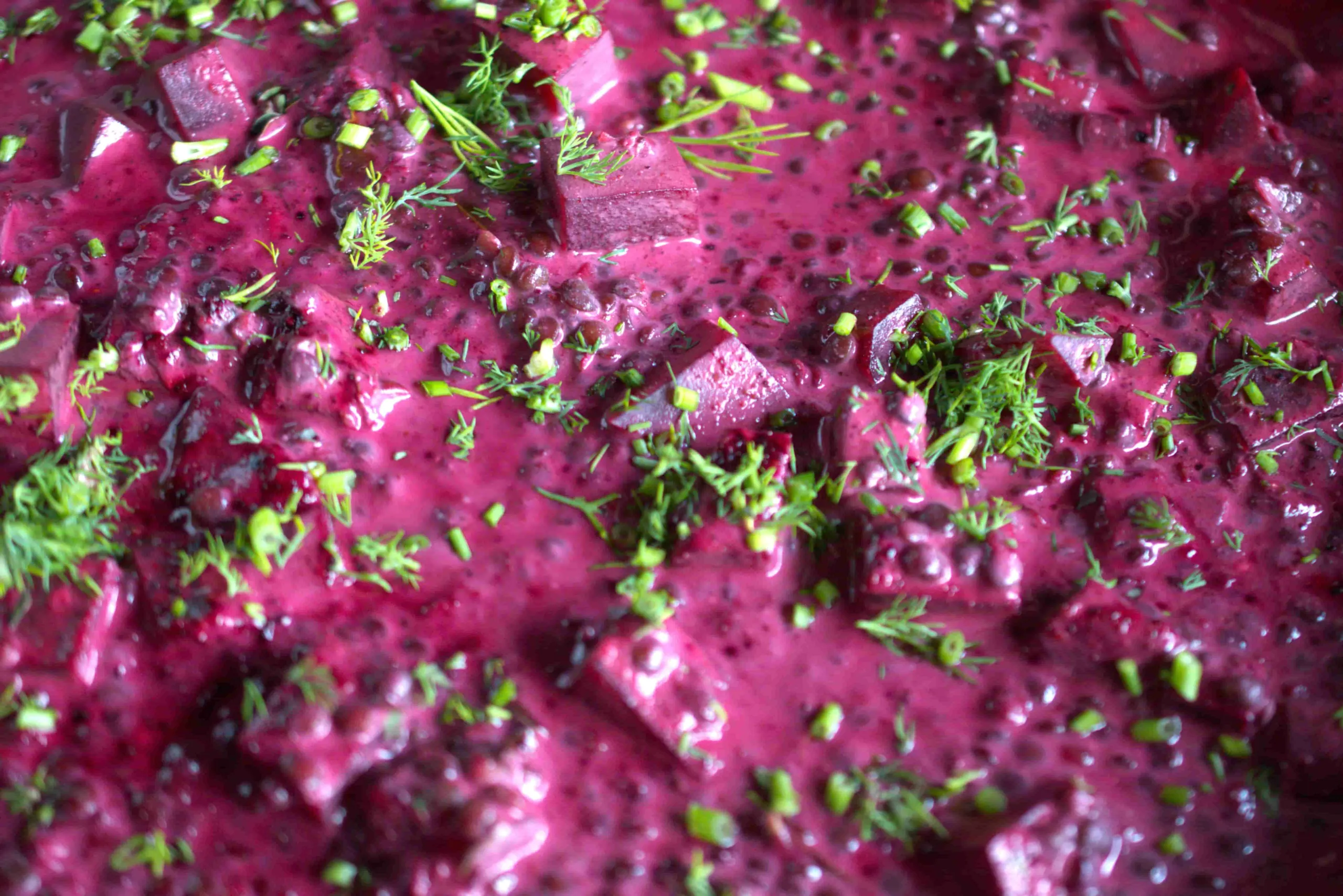 Purple Curry | Belugalinsen | Rote Beete | Pak Choi | Geröstete Austernpilze