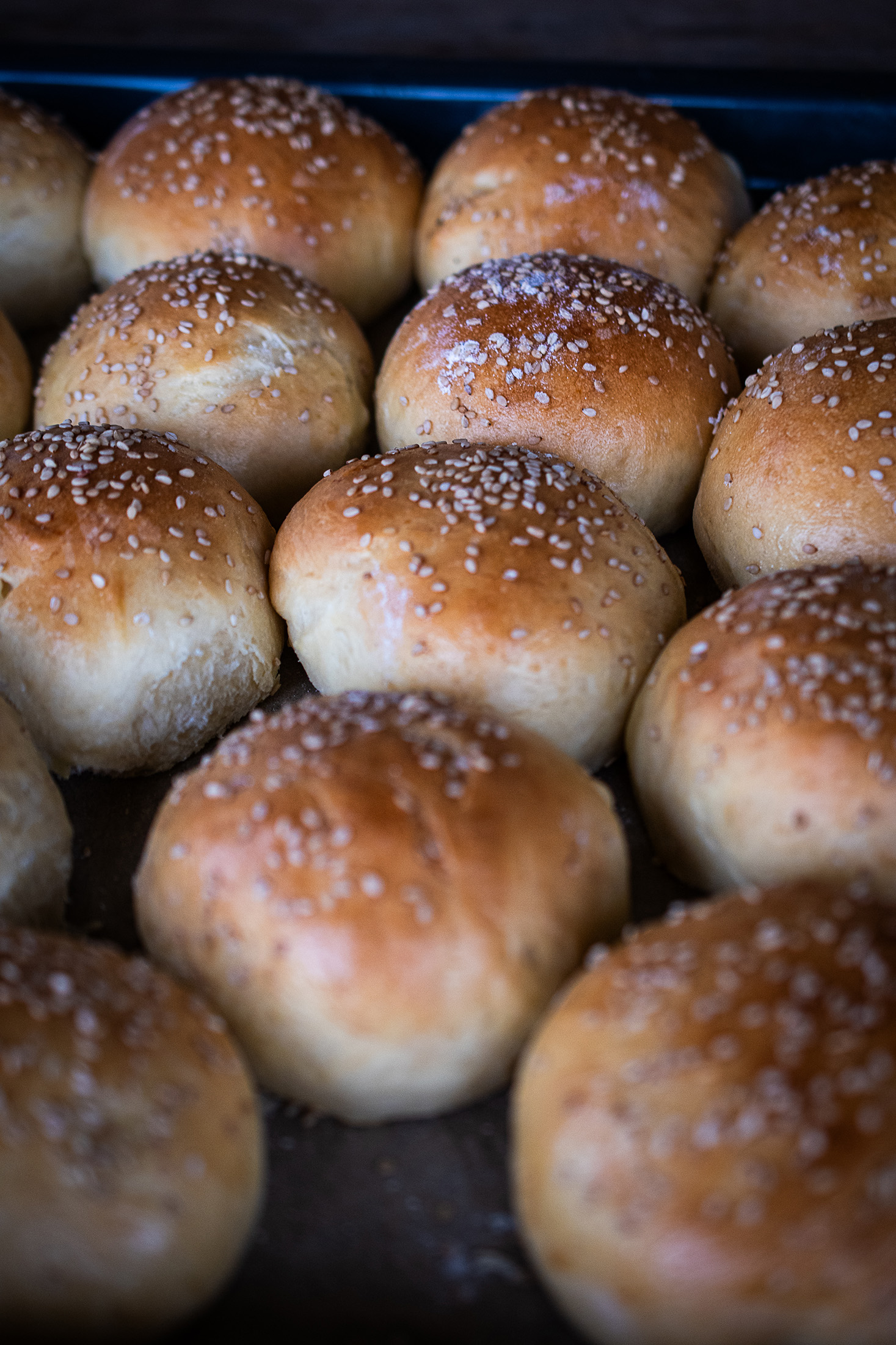 Brioche Burger Buns